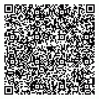 vCard 79322009411