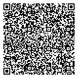 vCard 79322009529