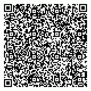 vCard 79322009533