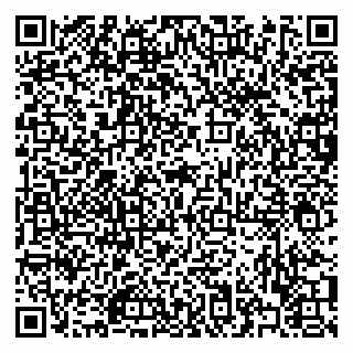 vCard 79322009537