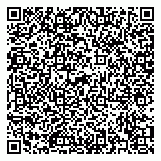 vCard 79322009553