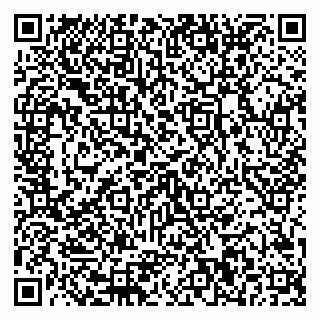 vCard 79322010003