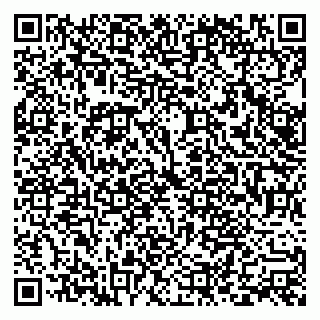 vCard 79322010271