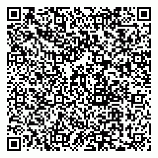 vCard 79322010294