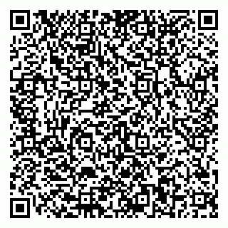 vCard 79322010299