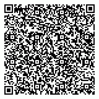 vCard 79322010329