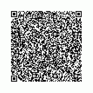 vCard 79324000739