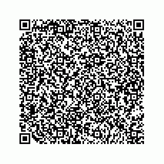 vCard 79324001029