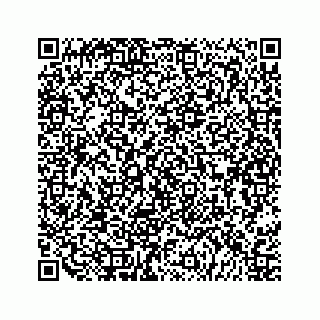 vCard 79324001078