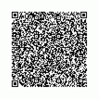 vCard 79324001981