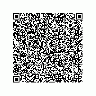 vCard 79331000173