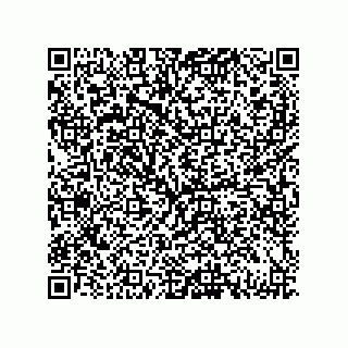 vCard 79331000201