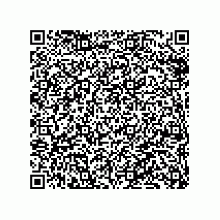 vCard 79331000215