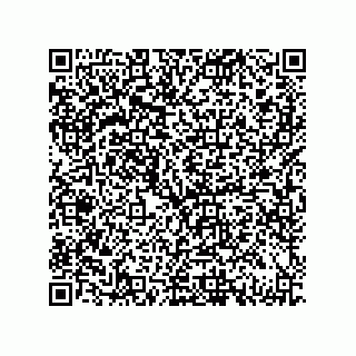 vCard 79331000970