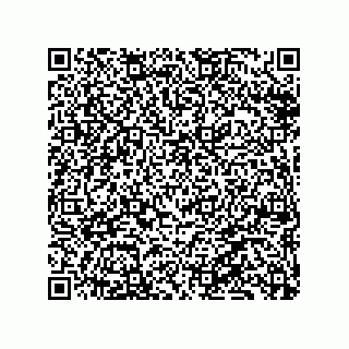 vCard 79331001002