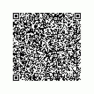vCard 79331001003