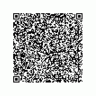 vCard 79331001004