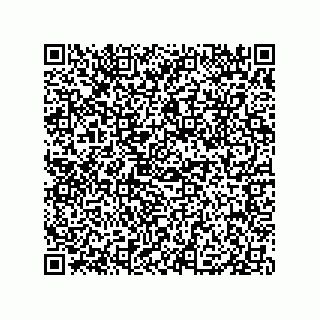 vCard 79331001007