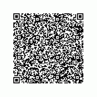vCard 79331001013