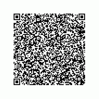 vCard 79331001024