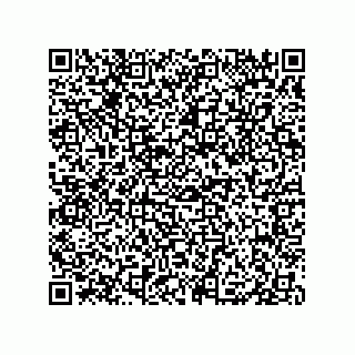 vCard 79331001027