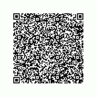 vCard 79331001201