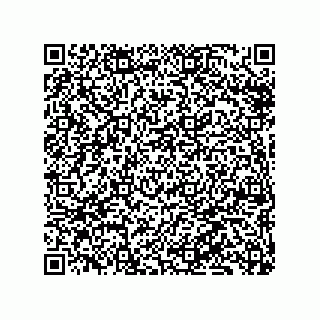 vCard 79331001291