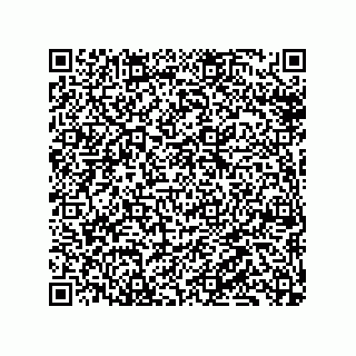 vCard 79331001303