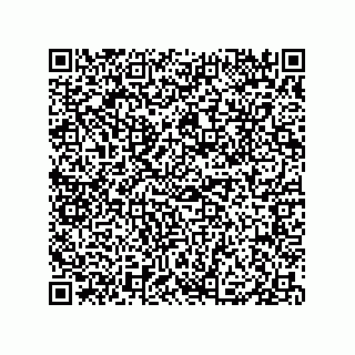 vCard 79331001503