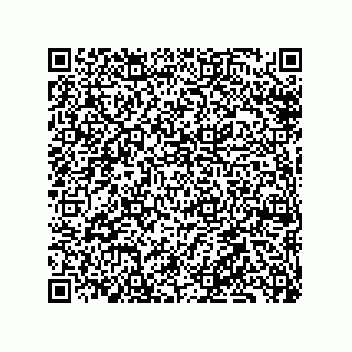 vCard 79331001545