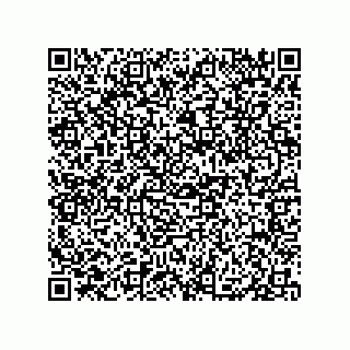 vCard 79331001735