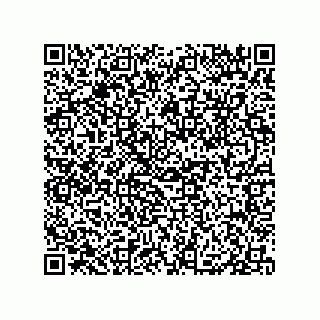 vCard 79331001745