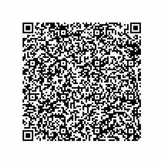 vCard 79331001815