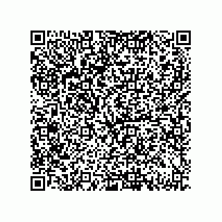 vCard 79331001900