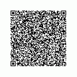 vCard 79331001920