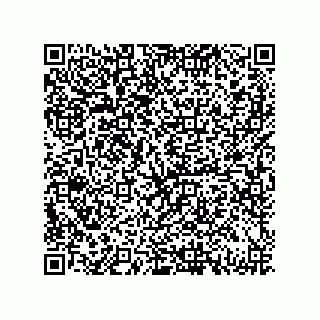 vCard 79331001963