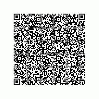 vCard 79331001981