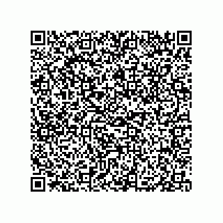 vCard 79331001985
