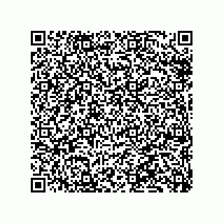 vCard 79331001998