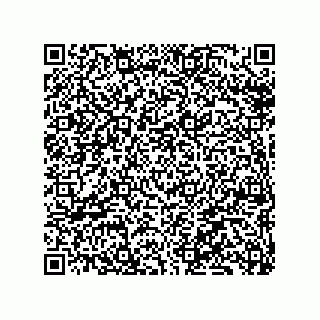 vCard 79331002409