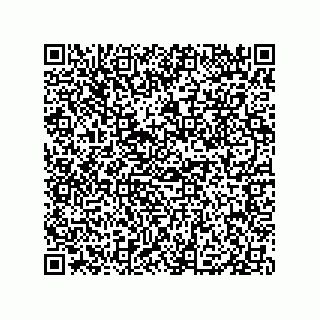 vCard 79331002497