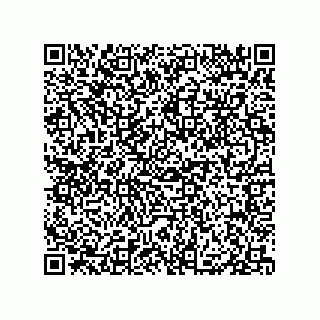 vCard 79331002541