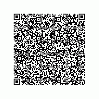 vCard 79331002603