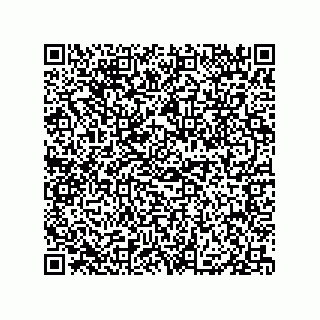 vCard 79331002671