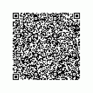 vCard 79331002702