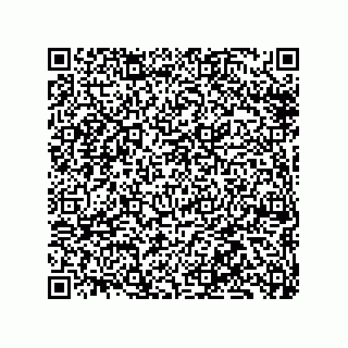 vCard 79331002789