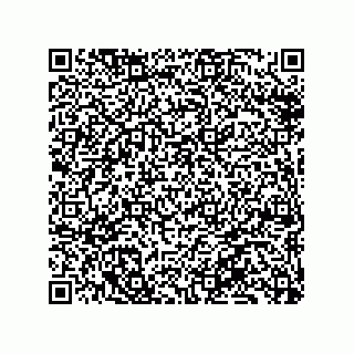 vCard 79331003800