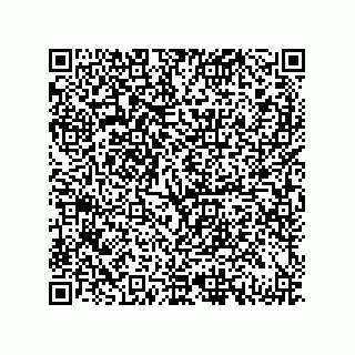 vCard 79331003839