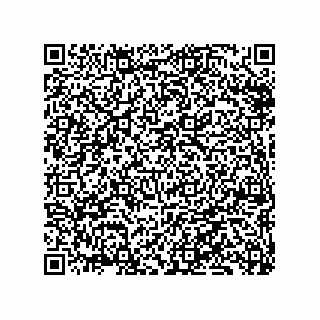 vCard 79331003939