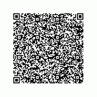 vCard 79331010002